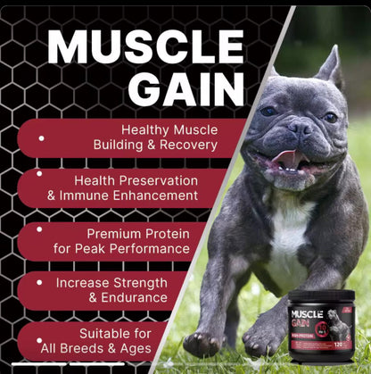 Muscle Gainer Chews — more strength, more vitality, more life